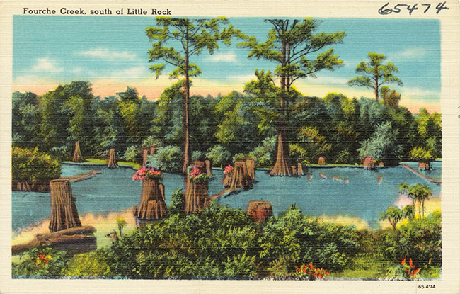 Creek with cypress trees and stumps on shore on postcard