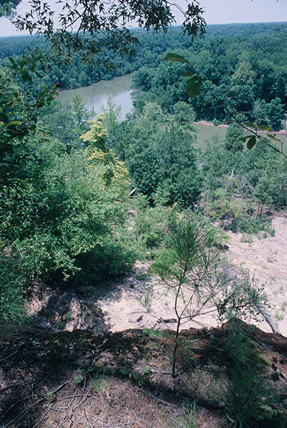 View of river and tree covered countryside from above