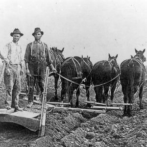 Three white men in overalls with horse drawn plow