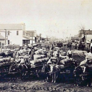 Group of horse drawn wagons loaded with rice on dirt road with buildings in the background