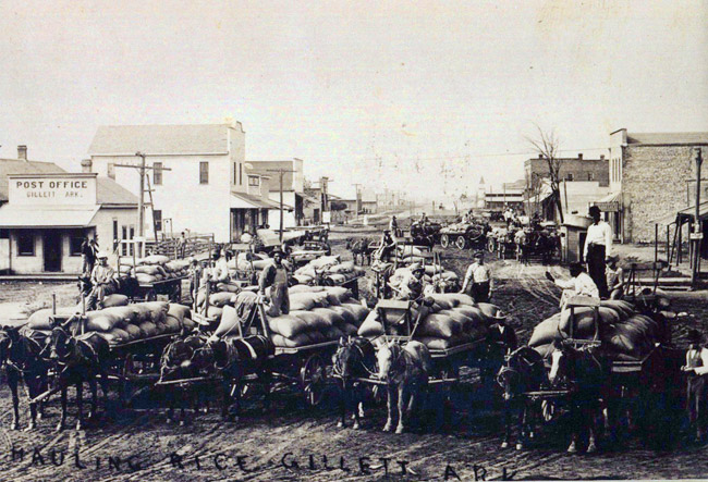 Group of horse drawn wagons loaded with rice on dirt road with buildings in the background