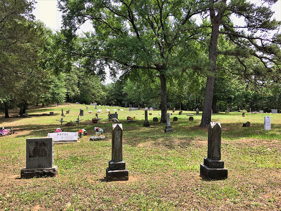 Gravestones in cemetery under trees