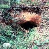 Pictures of mine shaft opening and white man in forest