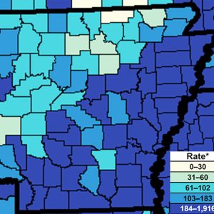Blue white and purple map of Arkansas with key
