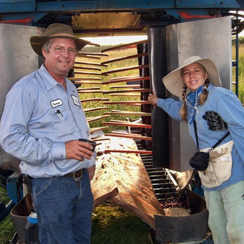 Foodways Archives - Page 2 of 3 - Encyclopedia of Arkansas