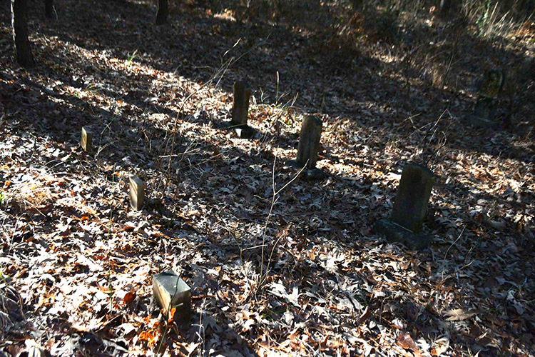Gravestones in cemetery in forested area