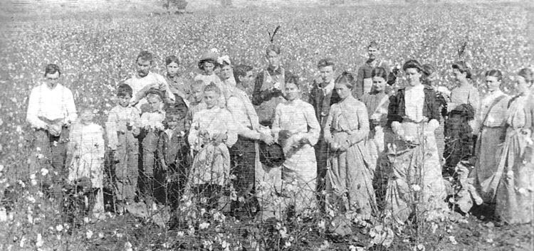 Group of white men women and children standing in cotton field