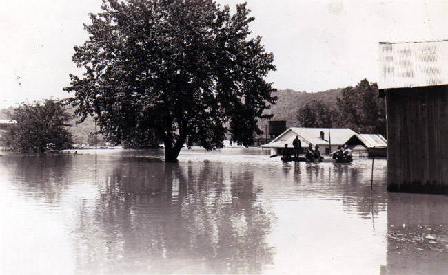 Flooded area with trees, half-submerged residence, group of people perched upon something just above the water line