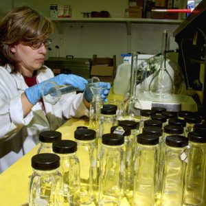 White woman with glasses wearing gloves and white coat working in laboratory room