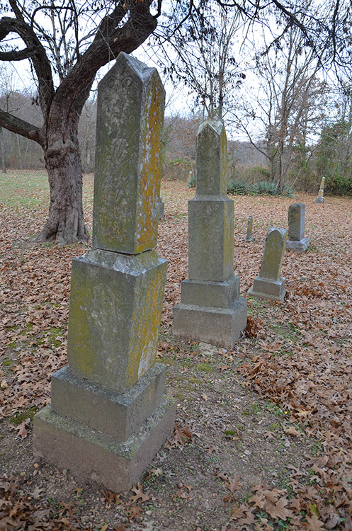 Stone monuments and gravestones with twisted tree in cemetery