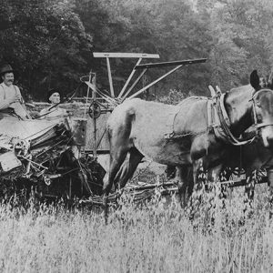 White men and horse-drawn farm equipment