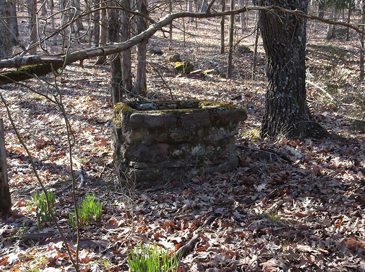 Abandoned brick well in forest with dead leaves on the ground