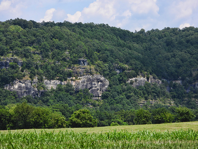 Tree covered mountain with bluffs above vacant field