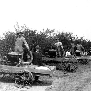 Line of white men with sprayer machines in orchard