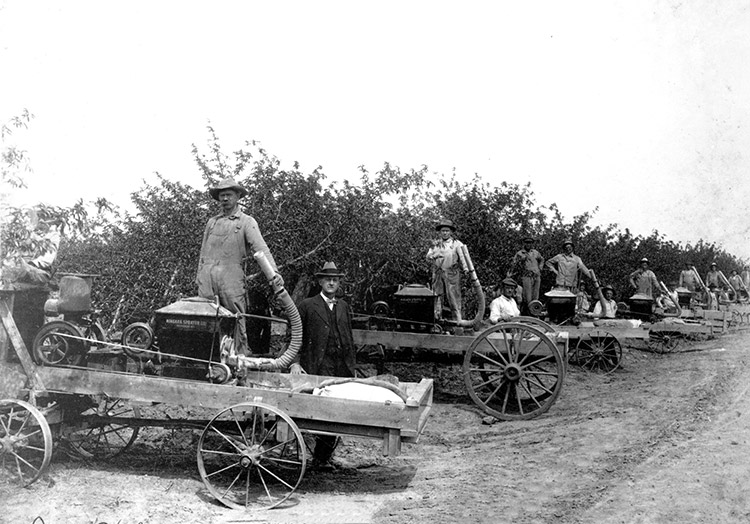 Line of white men with sprayer machines in orchard