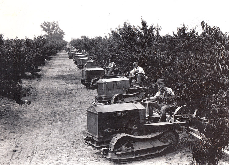 Line of white men on tractors in orchard