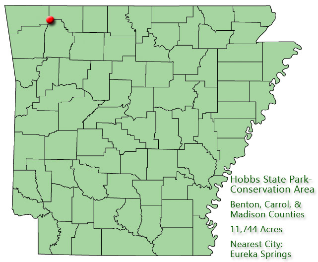 map outlining Arkansas counties with red pin near northwest boundary