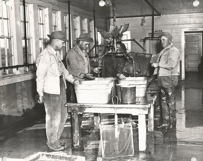 White men in hatchery room standing around a table with several buckets, spigots, and nets