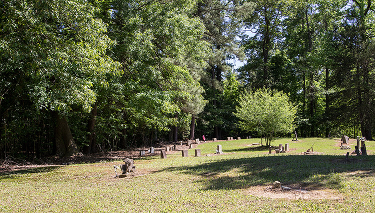 Small gravestones in cemetery with small tree in its center and larger trees around the edge