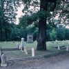 Tree gravestones and stone monument in cemetery