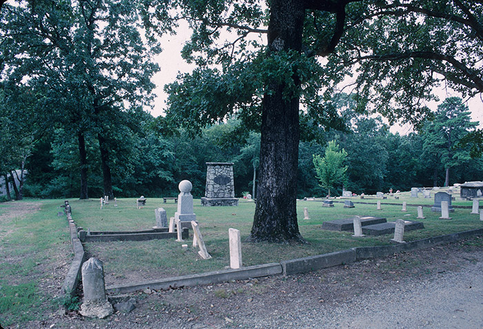 Tree gravestones and stone monument in cemetery