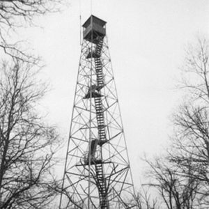 Looking up at fire tower in wooded area