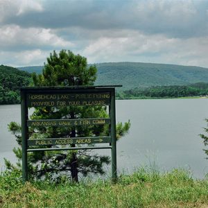 Wooden sign with yellow lettering and lake with tree covered hills