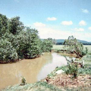 brown river with green foliage and blue skies