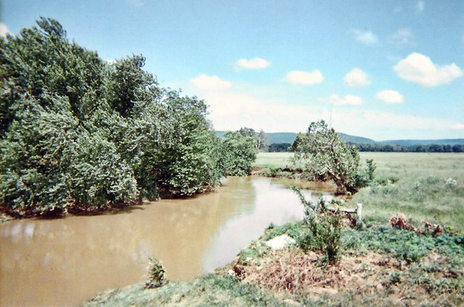 brown river with green foliage and blue skies