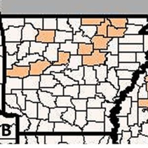 Two maps of Arkansas with multiple counties in orange
