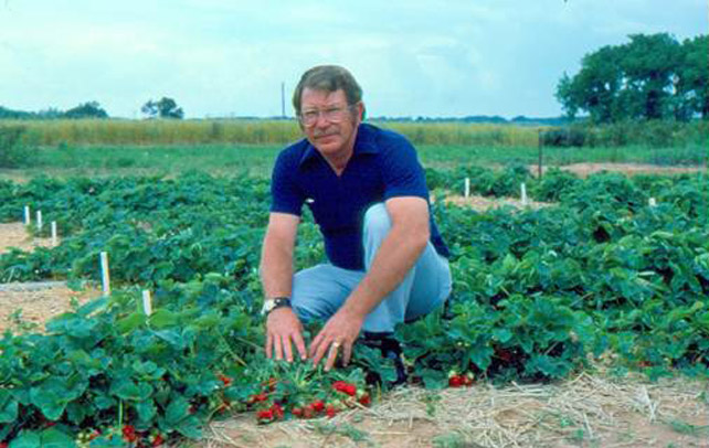 White man with mustache and glasses and blue shirt and pants sitting in a strawberry field with blue sky