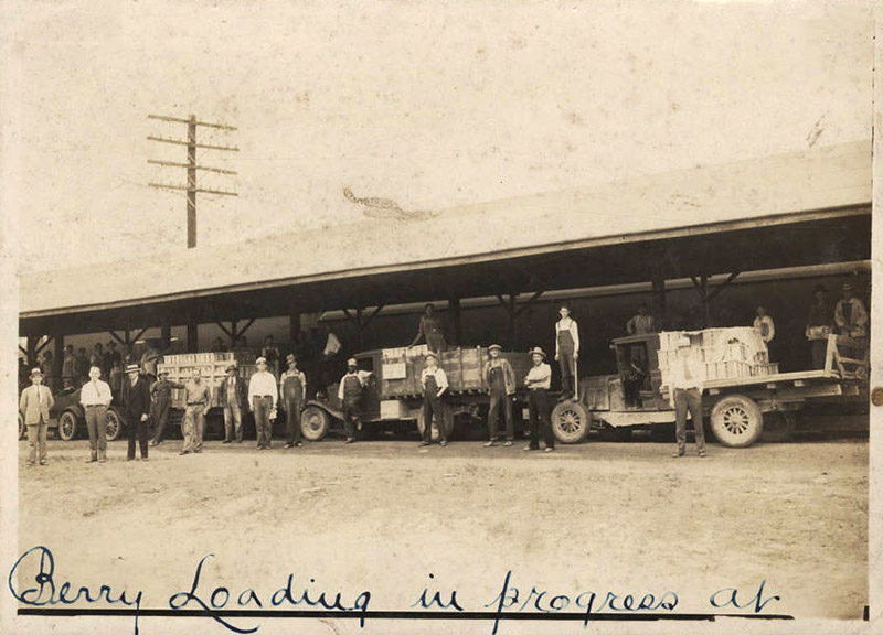 White men loading posing with laden trucks parked under covered shelter