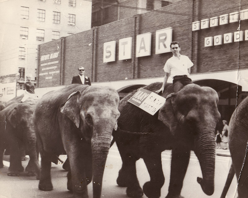 Two white men riding elephants through town