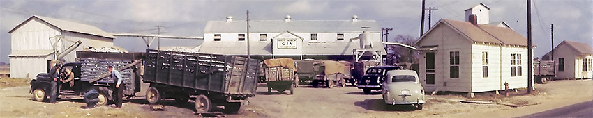 White men with trucks loaded with cotton outside industrial buildings and single-story outbuildings