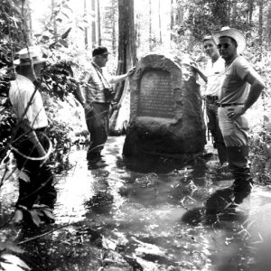Four men stand by large stone marker in ankle high water swamp near bald cypress