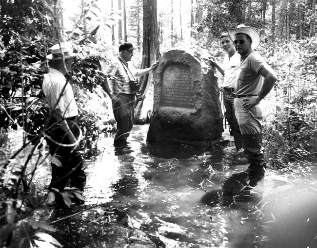 Four men stand by large stone marker in ankle high water swamp near bald cypress
