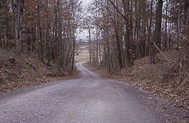 curved gravel road with autumn trees on both sides