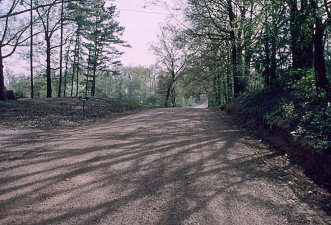gravel road with trees on both sides