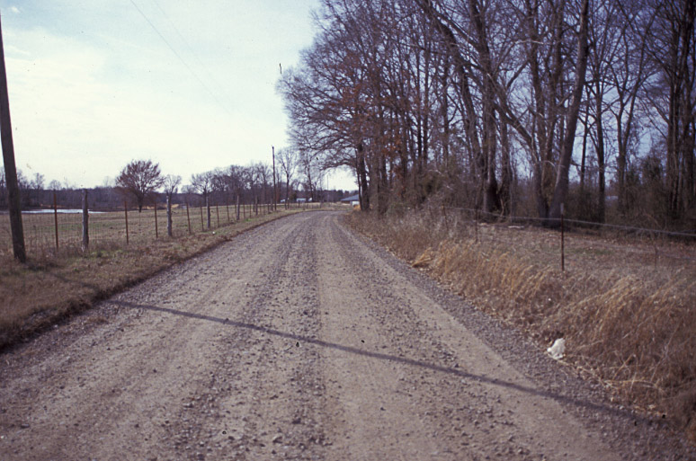 gravel road with barbed wire fence and field on the left and trees on the right
