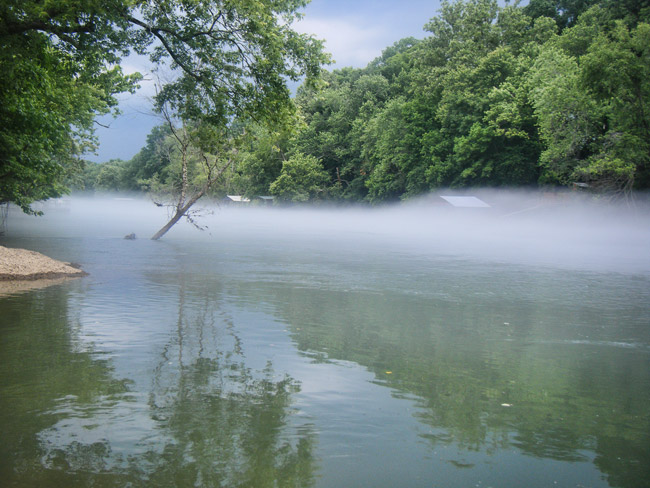 Fog on river with green foliage along the shore