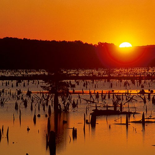 Lake Conway Encyclopedia of Arkansas