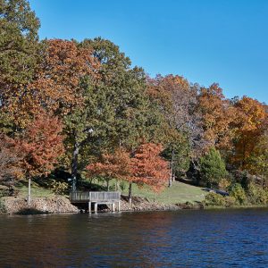 Looking across lake with dock on shore under autumn trees