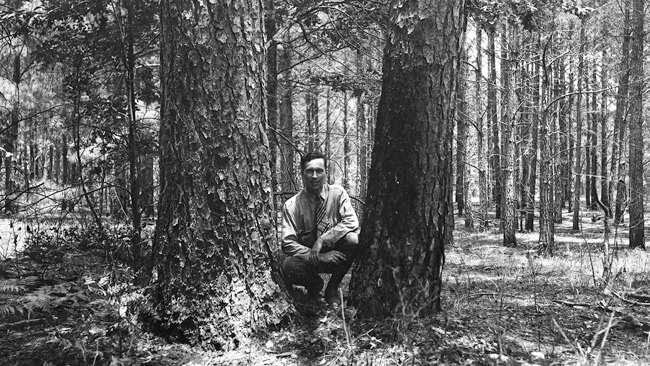 White man in tie kneeling between two trees in wooded area