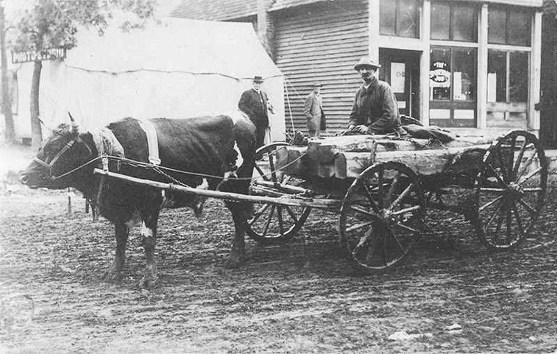 White man on ox-drawn wagon on dirt street with two white men standing outside storefront building and tent in the background