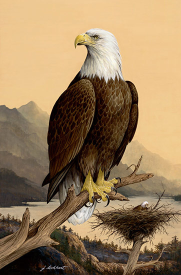Bald eagle perched on a tree branch with nest in the foreground and lake with mountains in the background