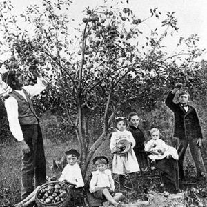 White man woman and children under an apple tree with a full basket of apples