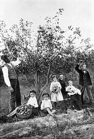 White man woman and children under an apple tree with a full basket of apples