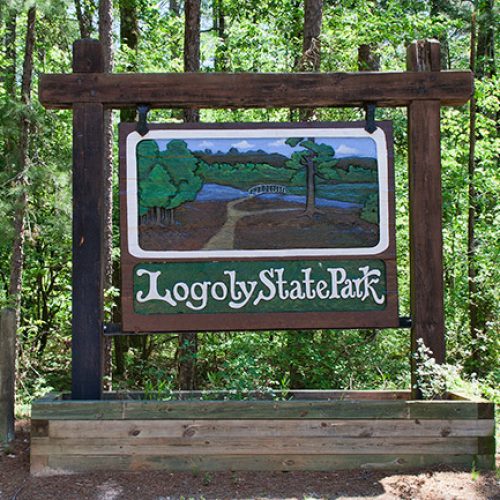 Logoly State Park: Your Gateway to Untamed Beauty and Outdoor Adventure