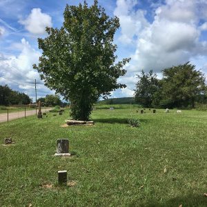 Monuments and gravestones with tree in cemetery on dirt road
