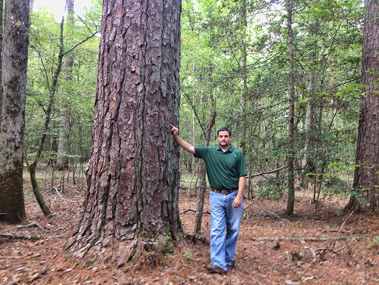 White man in green shirt and blue jeans leaning against a tall tree in forest